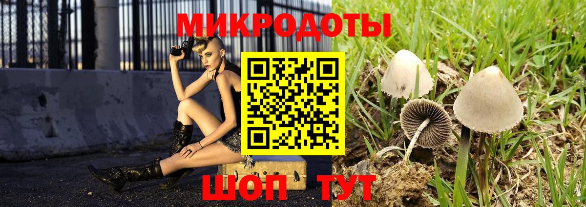 Сызрань  Псилоцибиновые грибы мухоморы  Вход с VPN  Галлюциногенные грибы мухоморы 